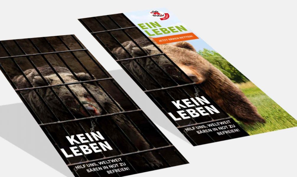 A digital campaign that captures you and shows you a free bear.